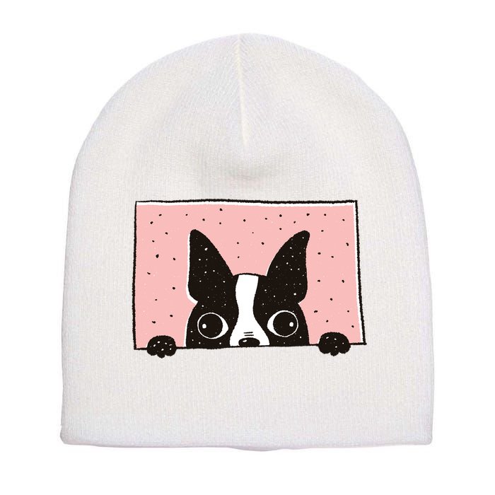 Boston Terrier Peeking Short Acrylic Beanie