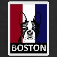Boston Terrier Portrait  11oz C Handle Ceramic Mug