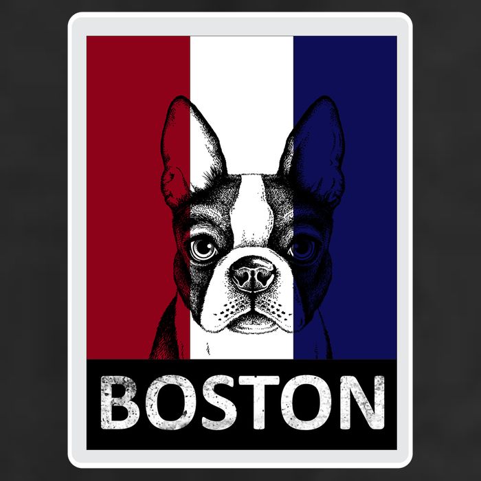 Boston Terrier Portrait  11oz C Handle Ceramic Mug