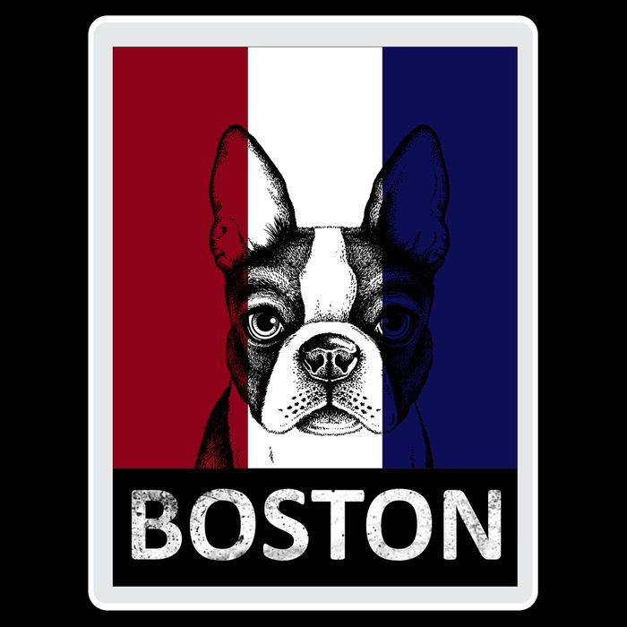 Boston Terrier Portrait  Drawstring Bag