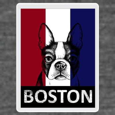 Boston Terrier Portrait  T-Shirt