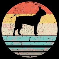 Boston Terrier Retro Sun Poster