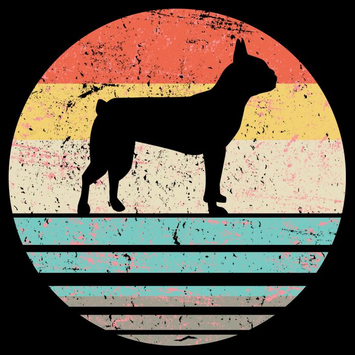 Boston Terrier Retro Sun Poster
