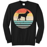 Boston Terrier Retro Sun Tall Sweatshirt