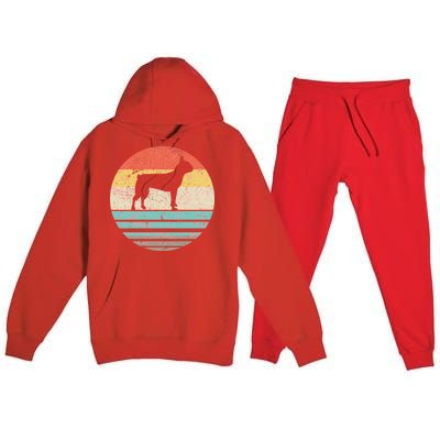 Boston Terrier Retro Sun Premium Hooded Sweatsuit Set