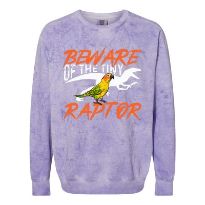 Beware Of The Tiny Raptor Parrot Bird Conure Colorblast Crewneck Sweatshirt