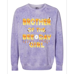 Brother Of The Bee Day Birthday Matching Party Colorblast Crewneck Sweatshirt