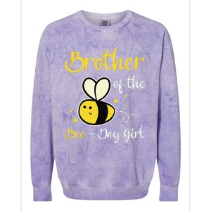 Brother Of The Bee Day Birthday Party Colorblast Crewneck Sweatshirt