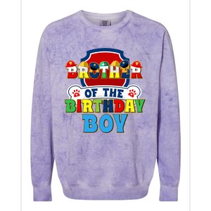 Brother Of The Birthday Boy Dog Paw Family Matching Colorblast Crewneck Sweatshirt