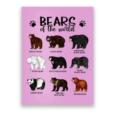 Bears Of The World Bears Poster