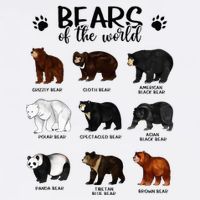 Bears Of The World Bears Sweatshirt