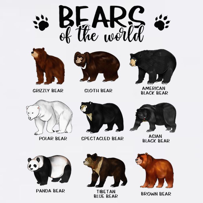 Bears Of The World Bears Flat Bill Trucker Hat