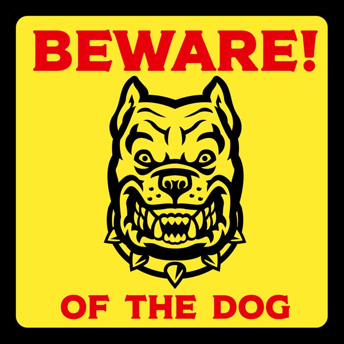 Beware Of The Dog Yellow Sign Apron