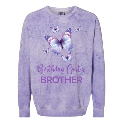 Brother Of The Birthday Butterfly Family 1st Birthday Meaningful Gift Colorblast Crewneck Sweatshirt