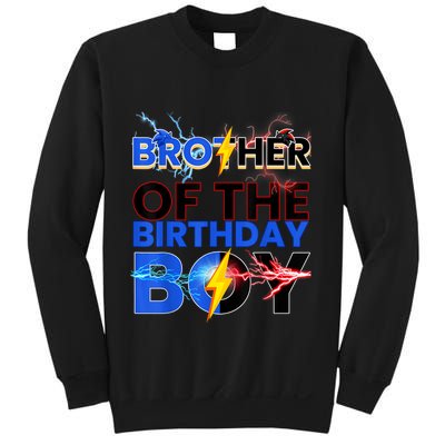 Brother Of The Birthday Boy Hedgehog Family Party Sweatshirt
