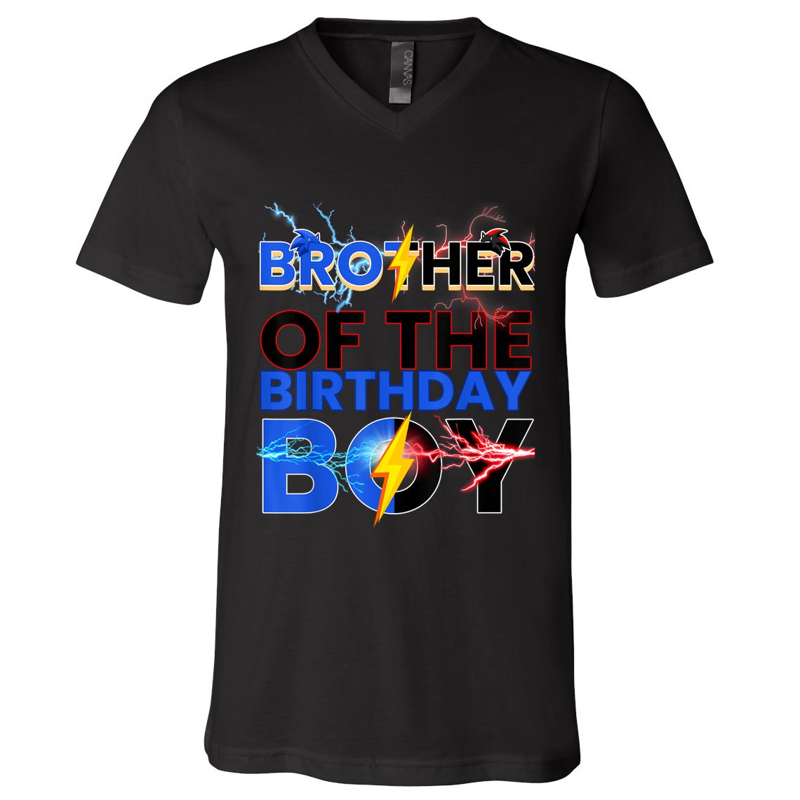 Brother Of The Birthday Boy Hedgehog Family Party V-Neck T-Shirt