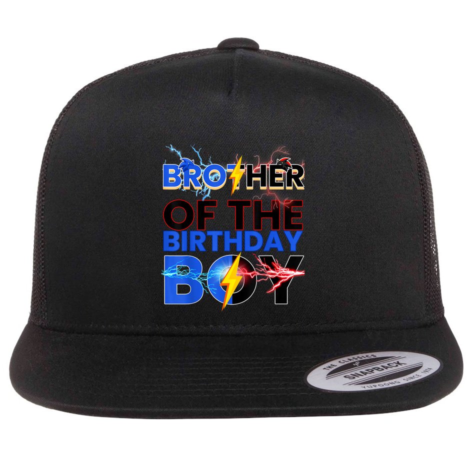 Brother Of The Birthday Boy Hedgehog Family Party Flat Bill Trucker Hat