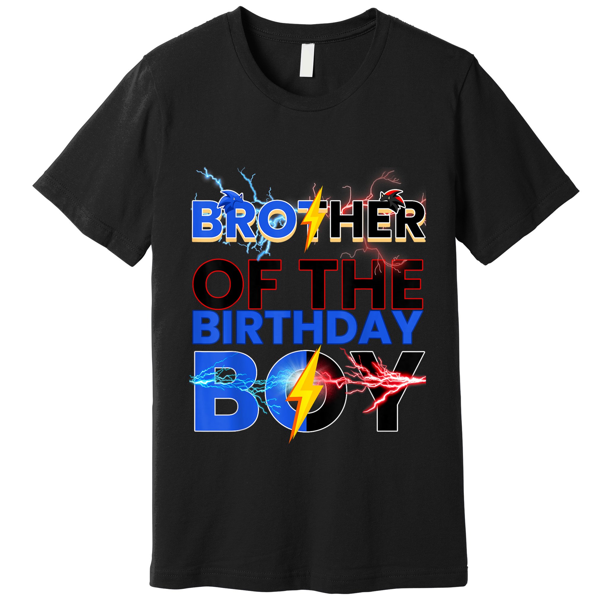 Brother Of The Birthday Boy Hedgehog Family Party Premium T-Shirt