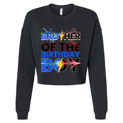 Brother Of The Birthday Boy Hedgehog Family Party Cropped Pullover Crew