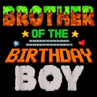 Brother Of The Birthday Boy Video Gamer Pixel Number Cropped Pullover Crew