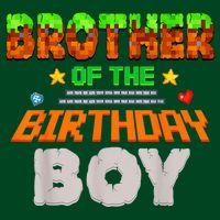 Brother Of The Birthday Boy Video Gamer Pixel Number Long Sleeve Shirt
