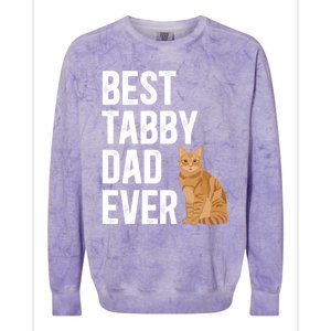 Best Orange Tabby Cat Dad Ever Orange Tabby Cat Owner Gift Colorblast Crewneck Sweatshirt