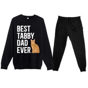 Best Orange Tabby Cat Dad Ever Orange Tabby Cat Owner Gift Premium Crewneck Sweatsuit Set