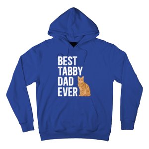 Best Orange Tabby Cat Dad Ever Orange Tabby Cat Owner Gift Hoodie