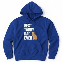 Best Orange Tabby Cat Dad Ever Orange Tabby Cat Owner Gift Hoodie