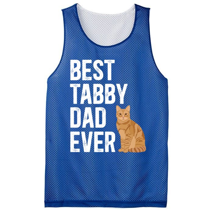 Best Orange Tabby Cat Dad Ever Orange Tabby Cat Owner Gift Mesh Reversible Basketball Jersey Tank