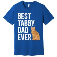 Best Orange Tabby Cat Dad Ever Orange Tabby Cat Owner Gift Premium T-Shirt