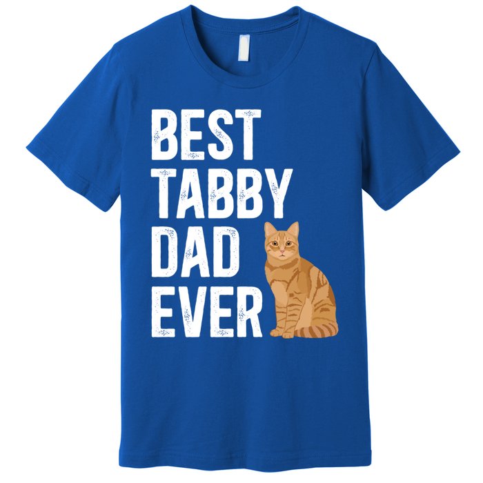 Best Orange Tabby Cat Dad Ever Orange Tabby Cat Owner Gift Premium T-Shirt