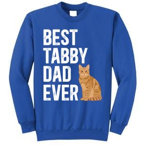 Best Orange Tabby Cat Dad Ever Orange Tabby Cat Owner Gift Tall Sweatshirt