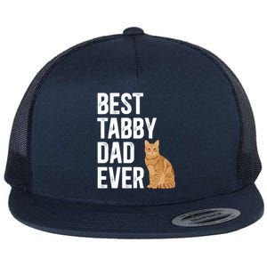 Best Orange Tabby Cat Dad Ever Orange Tabby Cat Owner Gift Flat Bill Trucker Hat