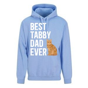 Best Orange Tabby Cat Dad Ever Orange Tabby Cat Owner Gift Unisex Surf Hoodie