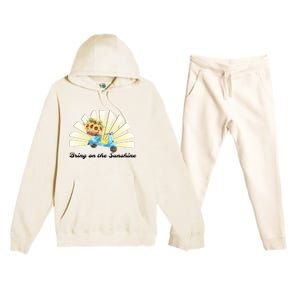 Bring On The Sunshine Graphic Tee Gift Premium Hooded Sweatsuit Set