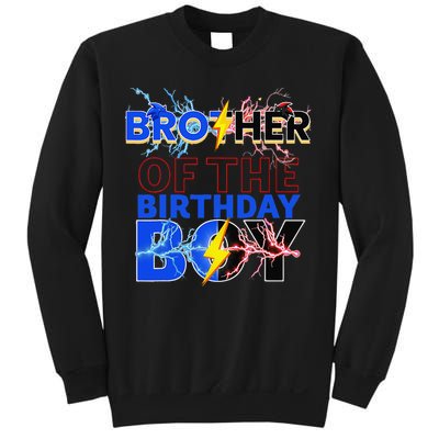 Brother Of The Birthday Hedgehog Family Party Decoration Sweatshirt