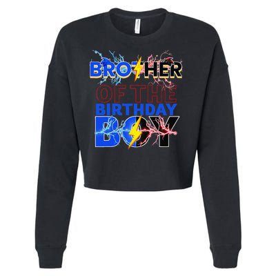 Brother Of The Birthday Hedgehog Family Party Decoration Cropped Pullover Crew