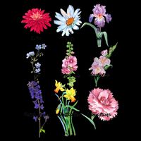 Botanical Floral Flowers Mug