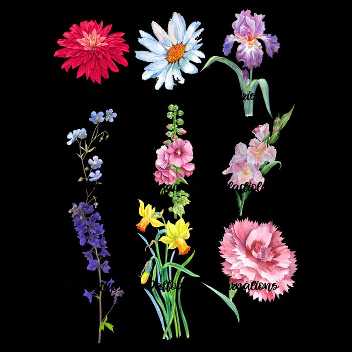 Botanical Floral Flowers Mug