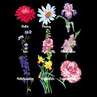 Botanical Floral Flowers 16 in Basic Backpack