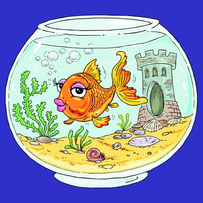 Bowl with Goldfish Cartoon Hoodie