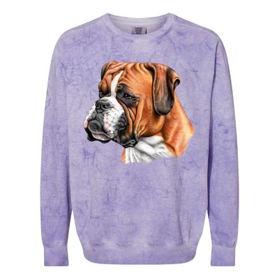 Boxer Face Colorblast Crewneck Sweatshirt