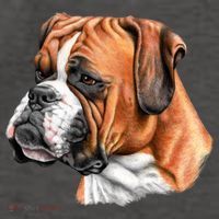 Boxer Face Vector Backpack