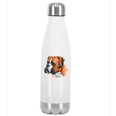 Boxer Face Stainless Steel Insulated Water Bottle