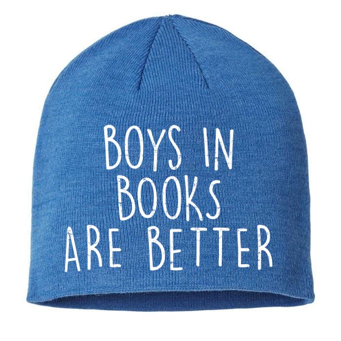 Boys In Books Are Better Funny Sustainable Beanie