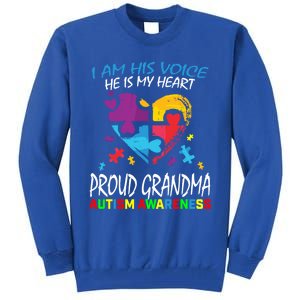 Blue Proud Autism Awareness Grandma Grandson I Am His Voice Cool Gift Tall Sweatshirt