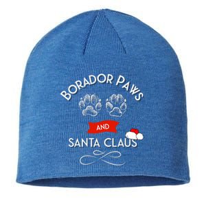 Borador Paws And Santa Claus Dog Lover Gift Sustainable Beanie