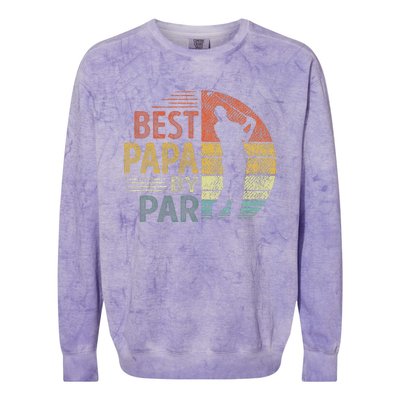 Best Papa By Par Fathers Day Golf Gift Grandpa Colorblast Crewneck Sweatshirt