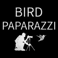 Bird Paparazzi Bird Photography Camera Bird Watcher Cooling Performance Crew T-Shirt